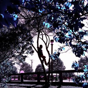 Meet your Posher, Roberta